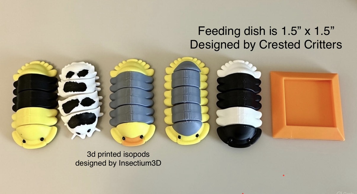 3D Printed Accessories