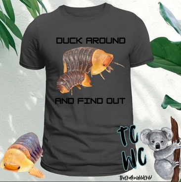 Duck Around
